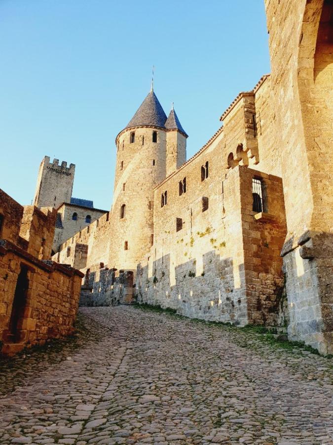 Maison avec jardin au pied de la cité médiévale Carcasona Exterior foto